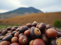 What are the three most dangerous street traps that make people stop in their tracks?